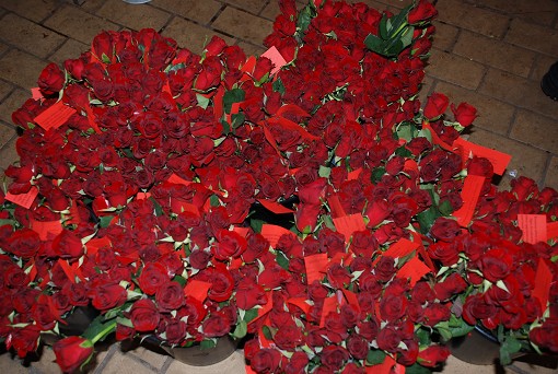 Massa rosor