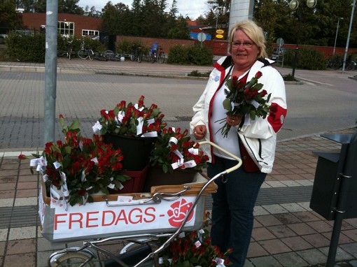 s-kvinna med barnvagn full an r�da rosor!