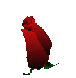 ros