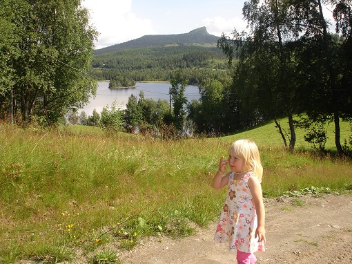 Livet i J�mtland