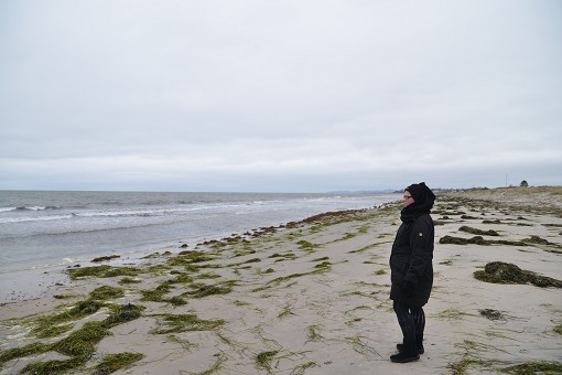 Juldagspromenad 2012 V�sby Strandmark