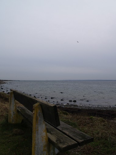 Med blicken mot �resund