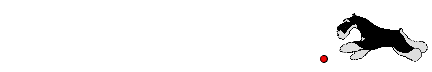 Dvärgschnauzer