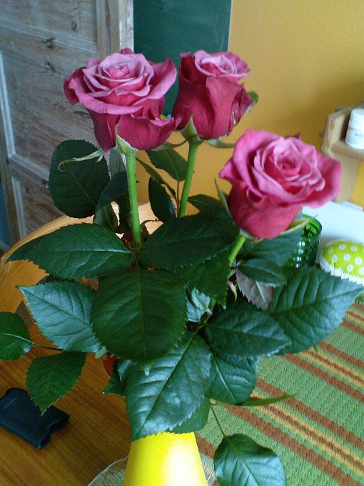 Rosor