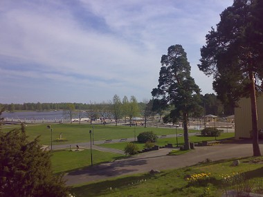 Mskogen