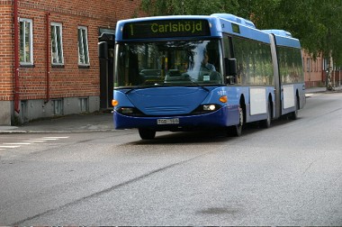 Buss