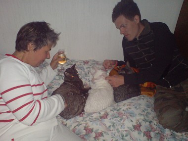 tre katter