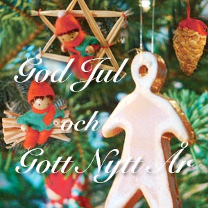 Julgransbild