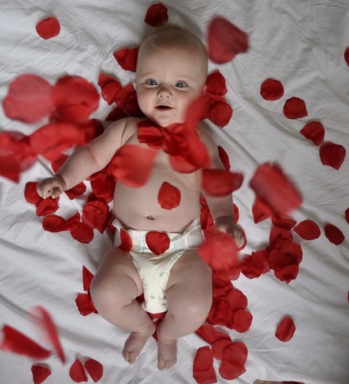 babyrose