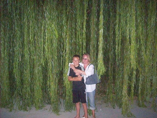 Tillsammans med min son