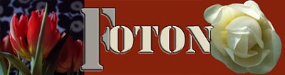 Foton