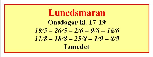 Lunedsmaran 2010