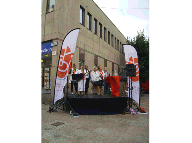 Bildspel 100816
