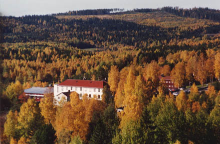 Brunnsvik från ovan