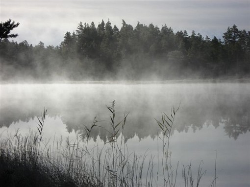 Mellantj�rn norr om Vansbro