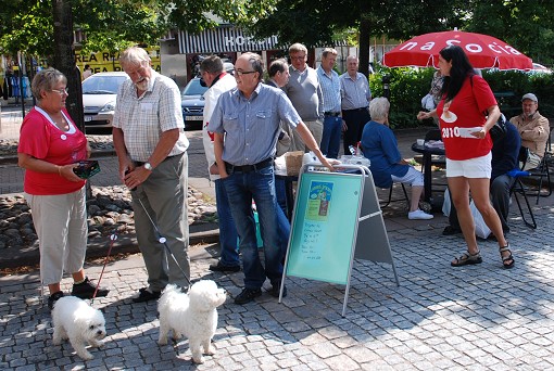 torget 7 aug. 2010
